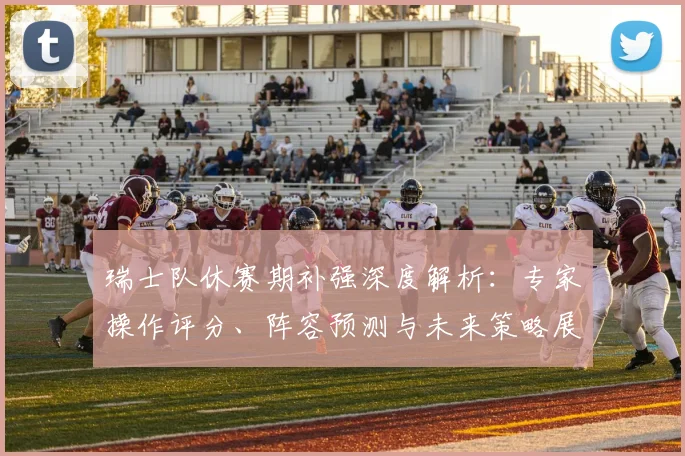 瑞士队休赛期补强深度解析：专家操作评分、阵容预测与未来策略展望